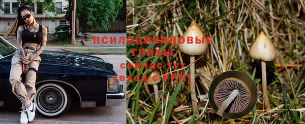 герыч Верея