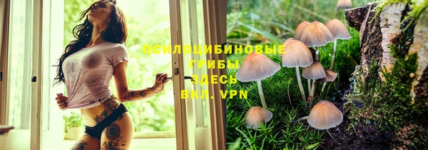 бошки Волосово