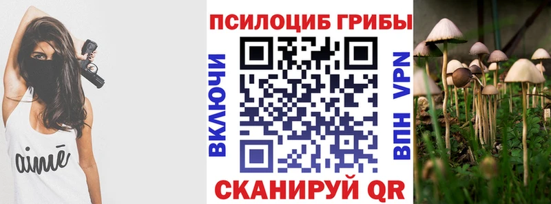 Псилоцибиновые грибы GOLDEN TEACHER KRAKEN как войти Елизаветинская где можно купить наркотик